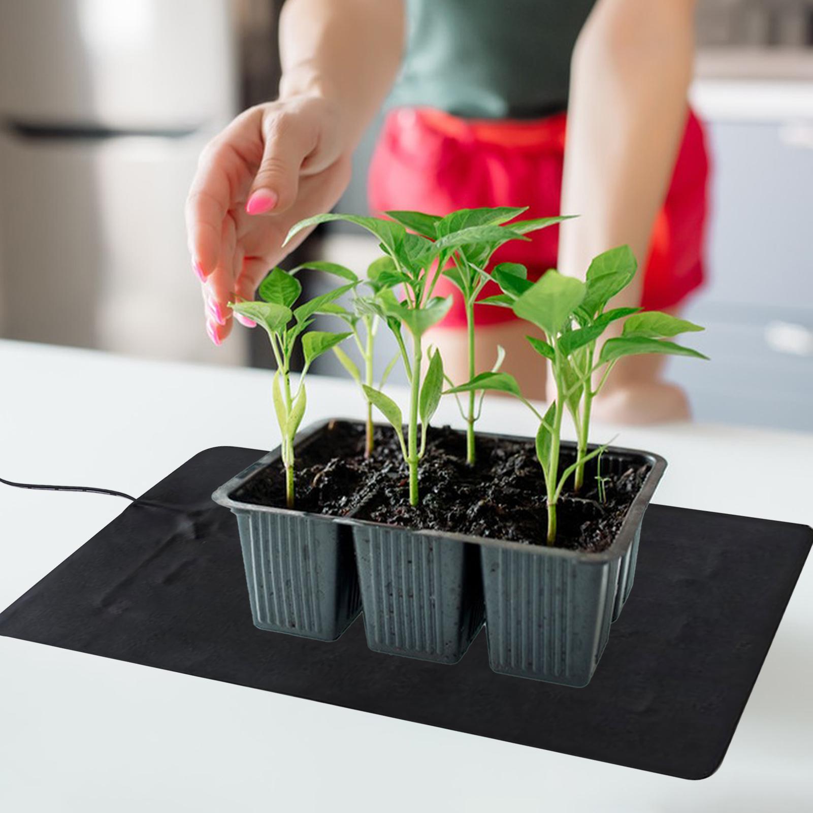 3 Temperature Adjustable Plant – Outdoor Rug Waterproof recenzja i cena